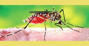 News Defalt/ddddddddddd.jpg